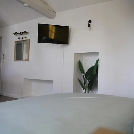 Chez Mary -jungle *